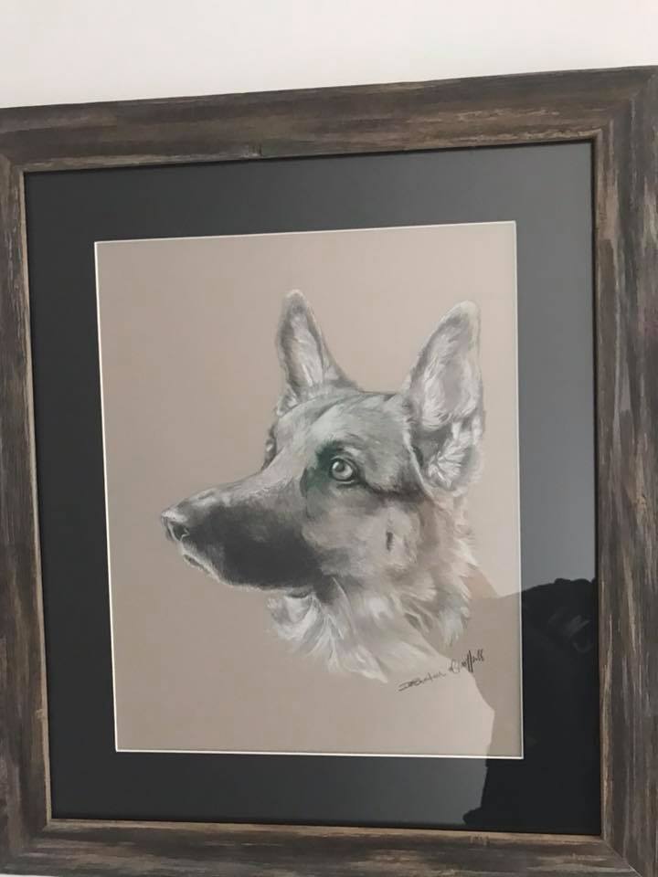 Rex Drawing
