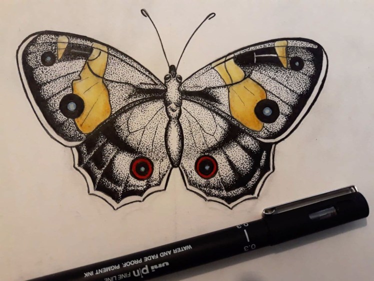 Butterfly